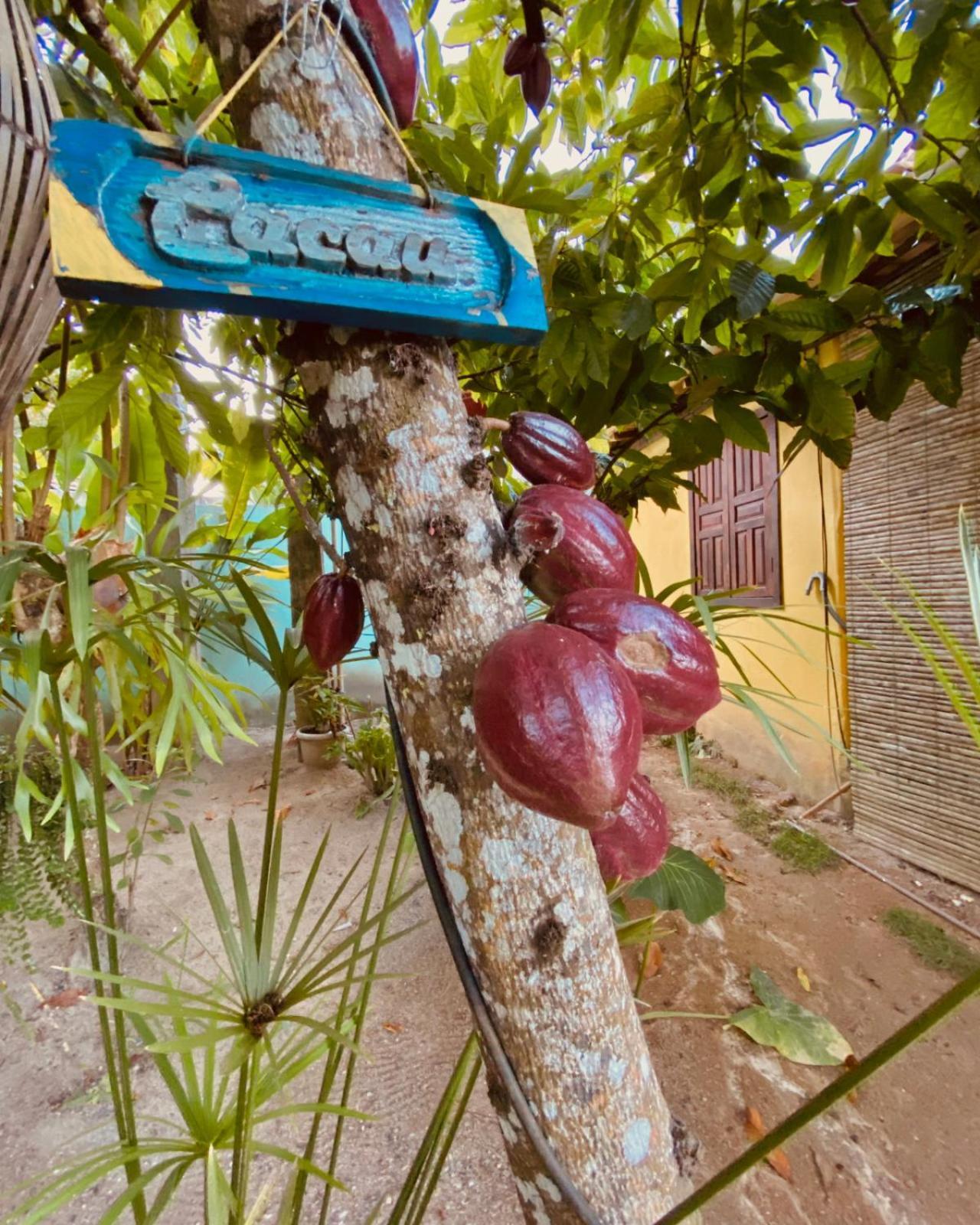 Caraiva Recanto Pousada De Ferias المظهر الخارجي الصورة